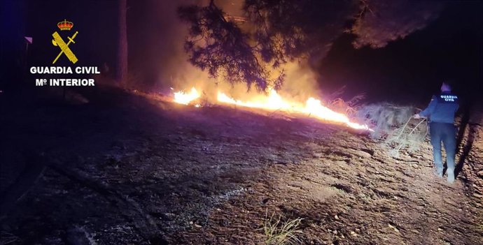 Incendio forestal en Olmedilla de Alarcón