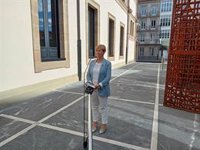 Tapia afirma que Mercedes dará a conocer su decisión sobre la inversión en Vitoria "en torno" a este verano