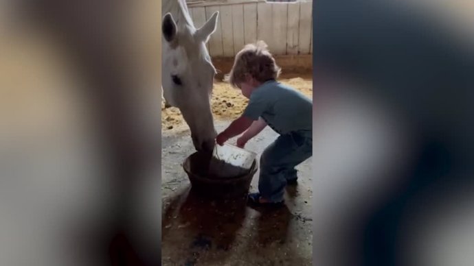 La inusual amistad entre un niño y un caballo: la complicidad de ambos asombra a las redes