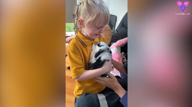La emotiva reacción de esta niña al ver la nueva mascota que le han regalado por su cumpleaños