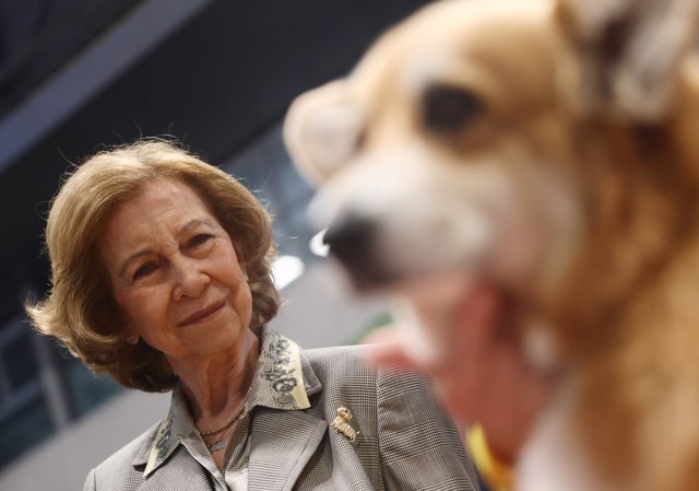 La Reina Sofía durante la inauguración de la World Dog Show, en la Feria de Madrid, Ifema, a 24 de junio de 2022, en Madrid (España). 