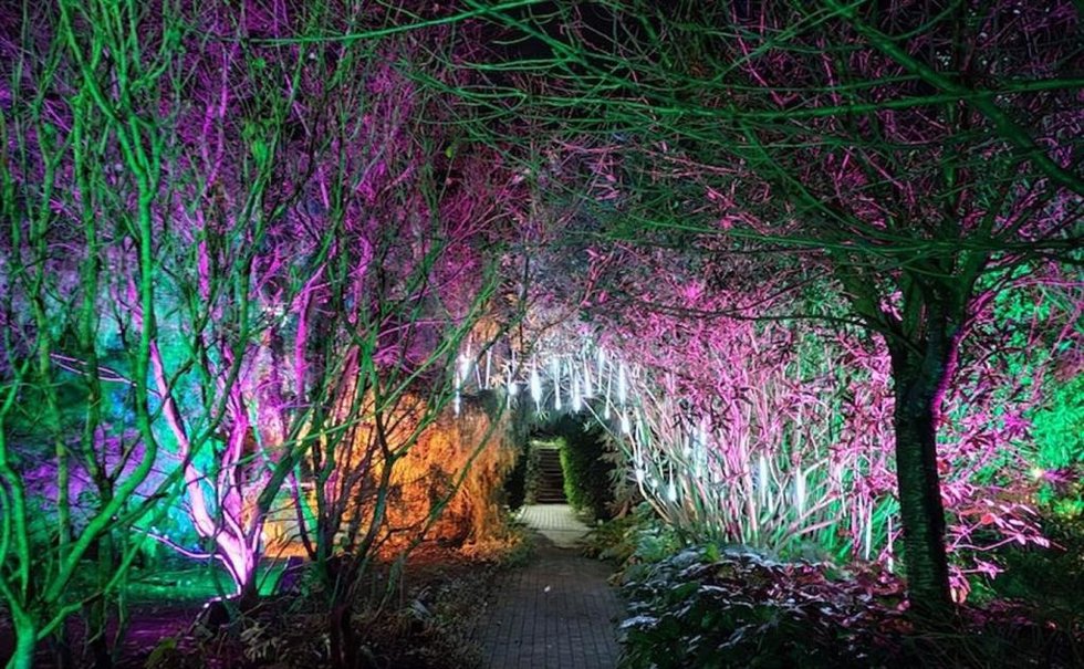 Jardín botánico de Barakaldo iluminado.