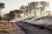 El incendio que arrasó 10.340 hectáreas del entorno de Doñana sigue en fase de instrucción a los cinco años de iniciarse