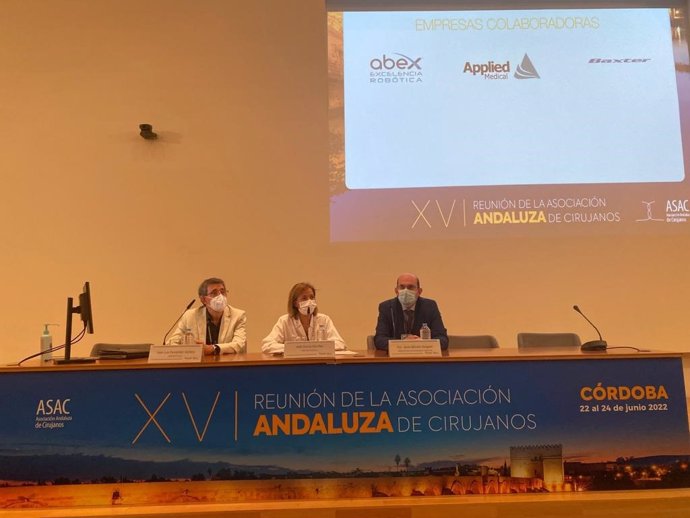 Mesa inaugural de la XVI Reunión de la Asociación Andaluza de Cirujanos.