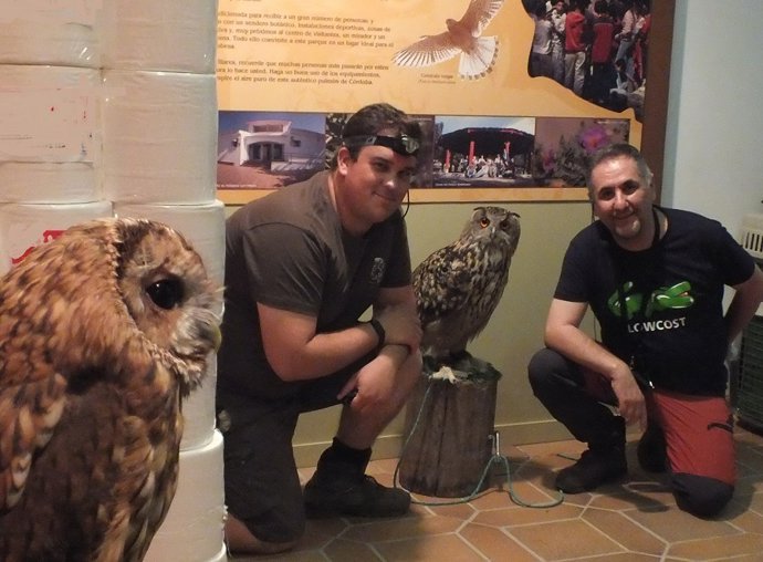 Una actividad con búhos en una edición anterior de 'Noches de Verano en Los Villares'.