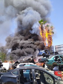 Dos palmeras arden en un incendio declarado en la pedanía murciana de El Esparragal