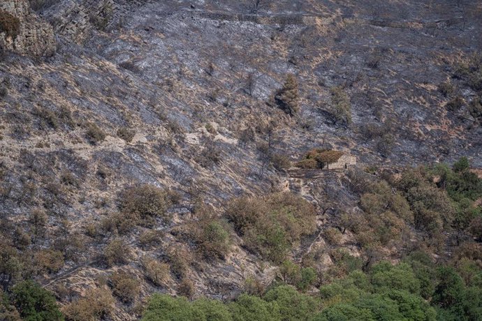 Vista general de Artesa de Segre tras el incendio, a 19 de junio de 2022, en Artesa de Segre, Lleida, Cataluña (España). El incendio que quema en Artesa de Segre (Lleida) ha afectado a un total de 2.146 hectáreas. Ante el peligro de incendio forestal y 