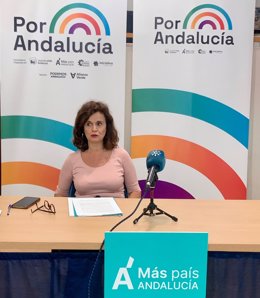 Más País ve que Por Andalucía "abre un ciclo de colaboración necesario" tras hacer "posible un escenario de cooperación"