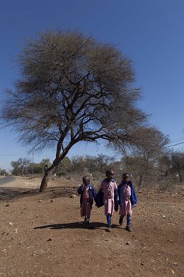 Archivo - Niñas camino del colegio en Tsholotsho, Zimbabue