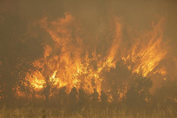 Efectivos de bomberos durante el incendio de la Sierra de la Culebra.