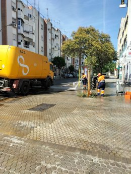 Trabajos de limpieza de Lipasam