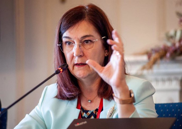 Cani Hernández, presidenta de la CNMC, durante su intervención en el curso de verano organizado por la APIE en la UIMP de Santander.