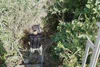 A prisión sin fianza el detenido en Sevilla por matar a su expareja y ocultar el cadáver en el río