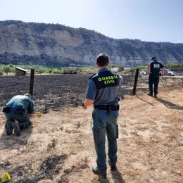 El incendio ha quemado 2.400 hectáreas