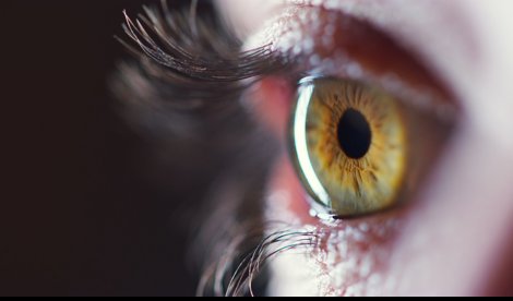 Investigación