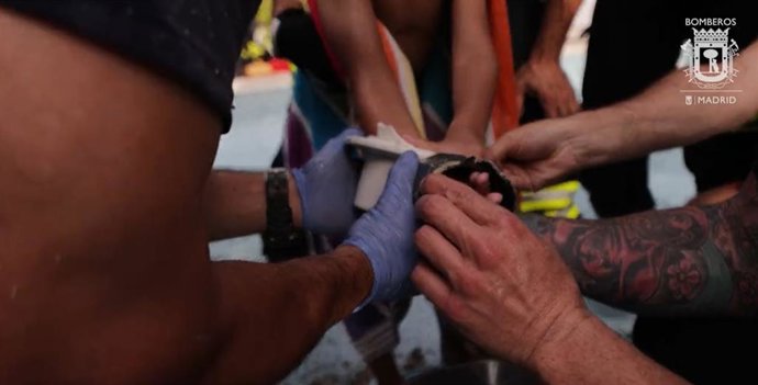 Vídeo de la noticia