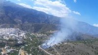 Declarado un incendio forestal en Canillas de Albaida (Málaga)
