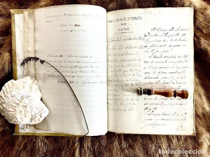 En subasta en todocoleccion, el libro sobre los sucesos de Cádiz por 18.000 euros