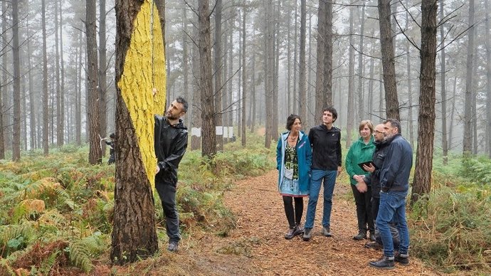 Comienza la primera fase del traslado de las obras de arte del Bosque de Oma
