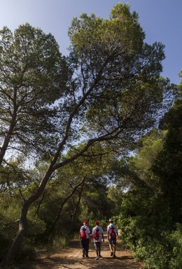Medio Ambiente: Inicio De La Campaña De Prevención De Incendios Forestales En La Devesa Albufera