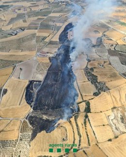 Un incendio en Arbeca (Lleida) quema 16 hectáreas de terreno agrícola