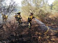 Un incendio forestal obliga a evacuar la playa de s'Amarador