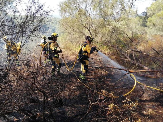 Efectivos del Ibanat trabajan en la extinción del incendio forestal en s'Amarador.