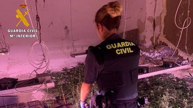 Agente de la Guardia Civil en una vivienda dedicada al cultivo de marihuana