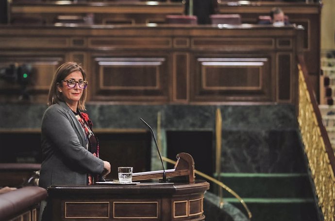 La diputada nacional del Partido Popular, Isabel Borrego