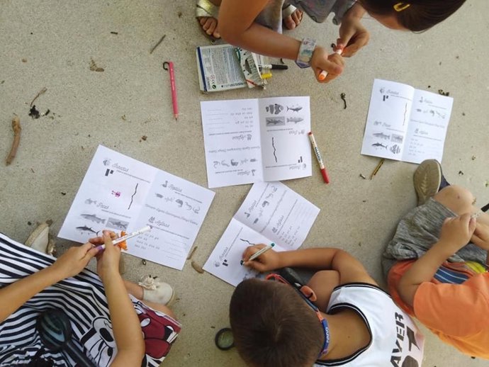 Actividad de la Escuela de Verano de Jaén