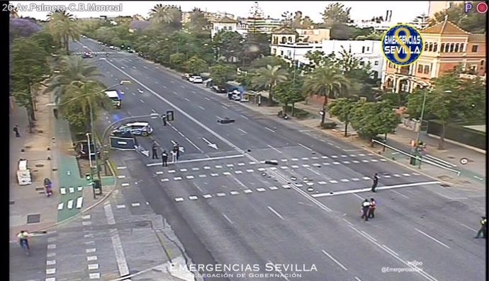 Archivo - Avenida de la Palmera