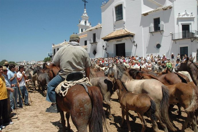 Archivo - Tradicional 'Saca De Las Yeguas' En El Rocío. En una imagen de archivo