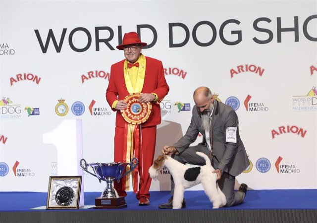 Un Fox Terrier de pelo duro se corona campeón del mundo en el mayor evento canino internacional celebrado en Madrid