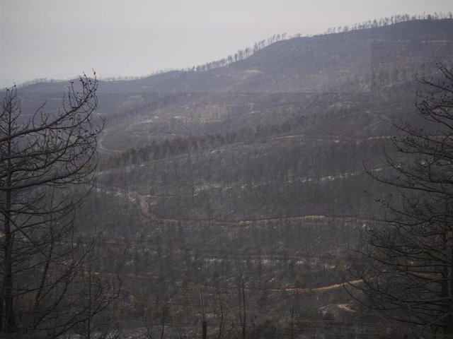 Vistas de la zona afectada por el incendio de El Perdón (archivo)