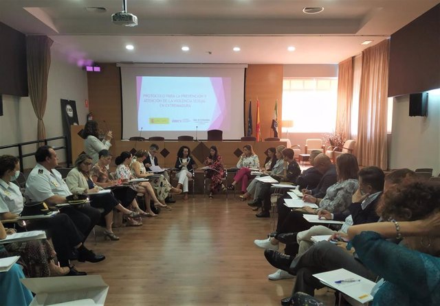 Reunión de la Comisión Permanente para la Prevención y Erradicación de la Violencia de Género en Extremadura