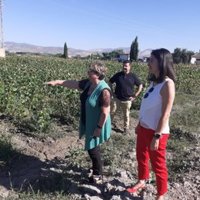 Diputación de Granada inaugura el campo de cepas madre destinado a la recuperación de las choperas de la Vega granadina