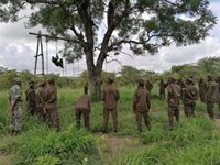 Al menos tres muertos en un nuevo ataque yihadista en el norte de Mozambique
