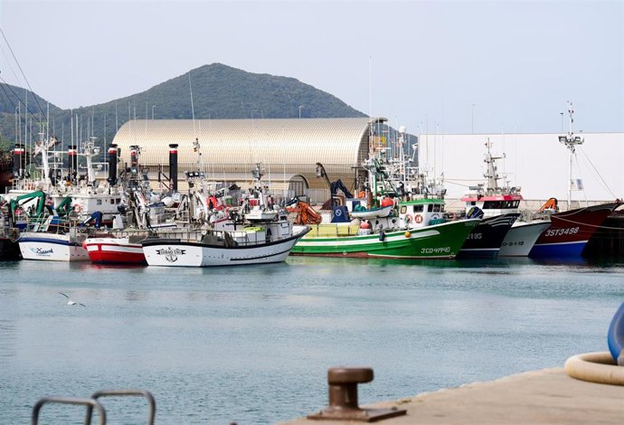 Archivo - Barcos amarrados en el puerto de Santoña