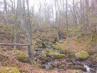 Rechazada la enmienda a la totalidad del PP a la Ley de Biodiversidad y Patrimonio Natural de La Rioja