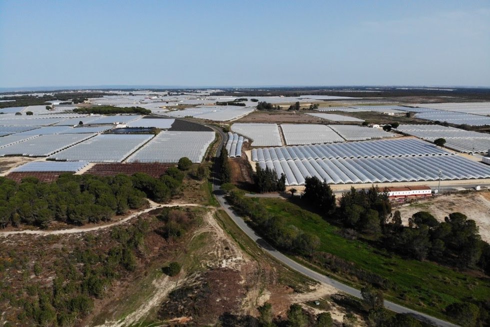 Archivo - Vista área de una finca de regadios en Doñana. (Foto de archivo). 