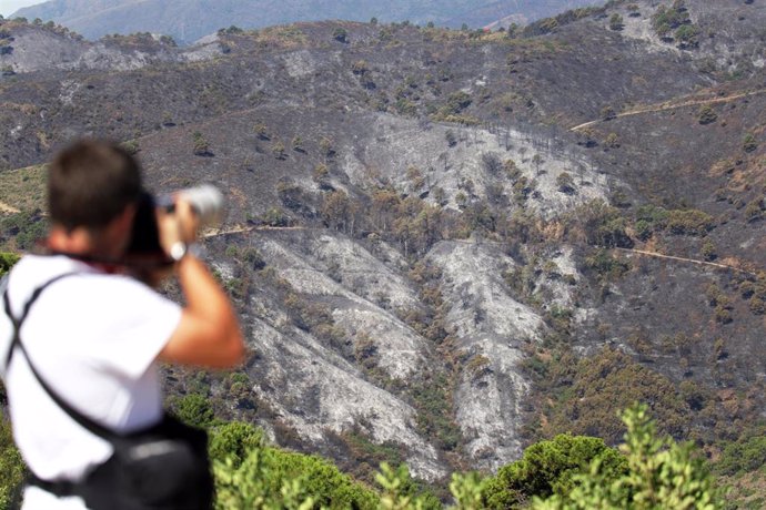 Zona afectada por el incendio forestal de Pujerra