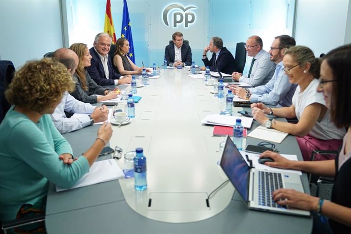 El líder del PP, Alberto Núñez Feijóo, preside la reunión del comité de dirección del PP en la sede nacional del PP. 