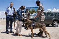 Reto logístico en la base aérea de Torrejón para recibir 50 aviones oficiales en cinco horas