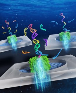 Reconocimiento de patrones de expresión de miRNAs mediante computación de ADN y decodificación de nanoporos