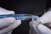 Foto: Tecnología de la NASA con un mechón de pelo para detectar tóxicos en nuestro cuerpo
