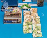 Seis detenidos tras intervenir 343 plantas de marihuana y 20 kilos de cogollos en cuatro registros en Almería