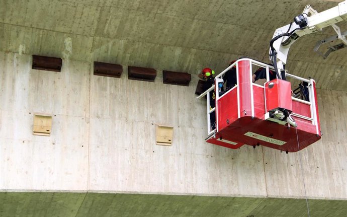 El Ayuntamiento de Zaragoza instala cajas nido para vencejos en el Puente de la Unión para intentar aumentar su población