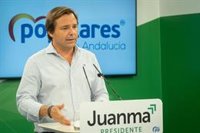 El PP-A ve "falta de sensibilidad" del Gobierno con Andalucía en la exclusión de Abengoa de las ayudas de la SEPI