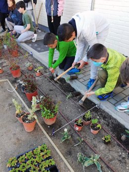 El Real Jardín Botánico-CSIC impulsa jardines escolares sostenibles en  5 centros educativos de la Comunidad de Madrid