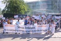 Los empresarios sevillanos avisan que la caída de Abengoa implica "un verdadero fracaso económico, laboral y político"